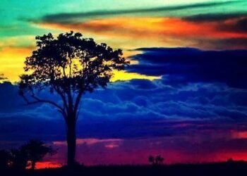 Nace una esperanzadora alternativa para Colombia