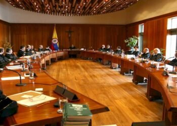 ¿Activismo judicial o tiranía de la justicia?