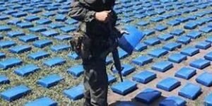 La industria del crimen