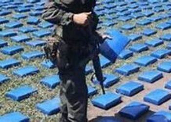 La industria del crimen