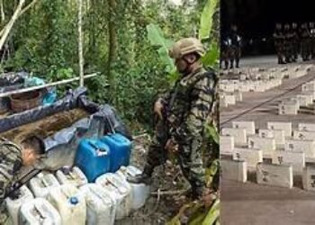 Las falacias del consejero Archila