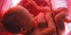 Tribunal Constitucional español: no más silencio