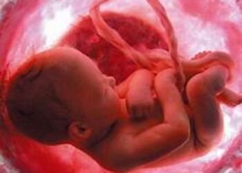 Tribunal Constitucional español: no más silencio