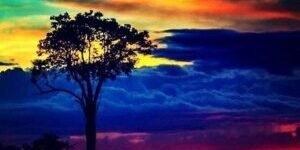 La Prioridad prevalece