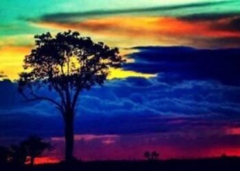 La Prioridad prevalece