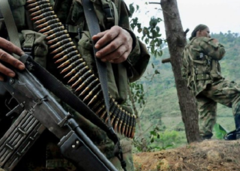 Reclutamiento criminal: FARC entrena a niños con rifles de madera