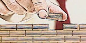 LLAMADO A LOS BUENOS CIUDADANOS