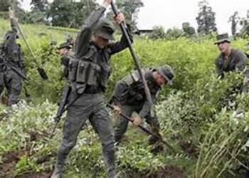 ¡Qué oso tan peligroso!