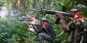 De Arauca a Barrancas del Orinoco, más de 900 km de incursión guerrillera