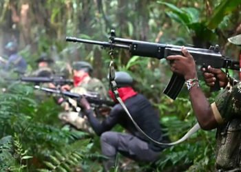 De Arauca a Barrancas del Orinoco, más de 900 km de incursión guerrillera