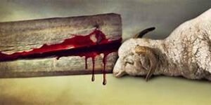 Medellín, un cordero de sacrificio