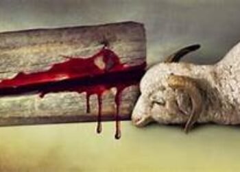 Medellín, un cordero de sacrificio