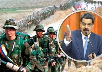 Incautan una avioneta de las FARC en Guatemala con 28 millones de euros en cocaína a bordo