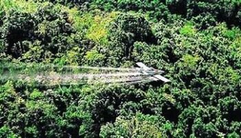 Protección jurisprudencial del narcotráfico