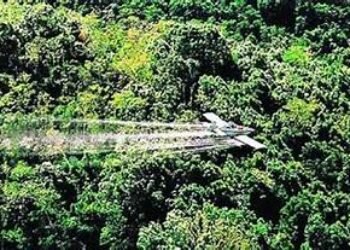 Protección jurisprudencial del narcotráfico