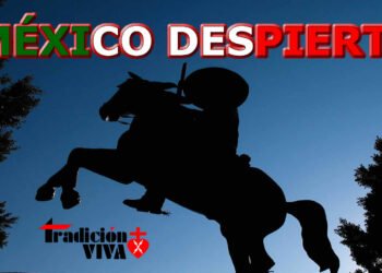 MÉXICO: La Rebelión de Los Cruzados