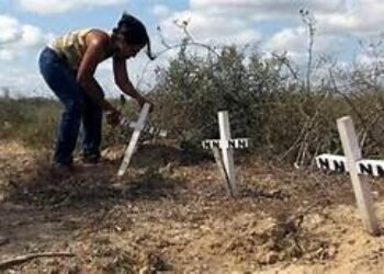 Los mamertos y la violencia en Arauca