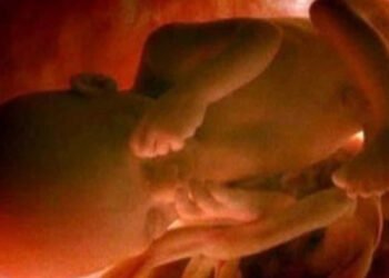 Colombia: la Corte Constitucional, con tufo NOM, despenaliza el aborto hasta los 6 meses para para “el ejercicio de los derechos sexuales y reproductivos”