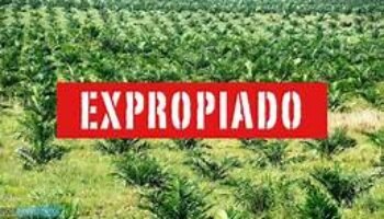 Petro esboza un programa político que pone en riesgo la economía, la cohesión social y la democracia en Colombia