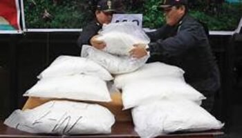 Historia reciente de la coca