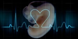 Un éxito provida. La Corte Suprema de Texas refrenda la ley del ‘latido del corazón’, que ya ha salvado a más de 20.000 niños