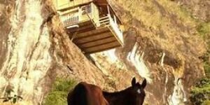 La elección en el aire