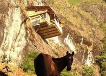 La elección en el aire