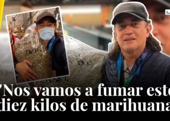 Bolivar vuelve y juega: volverá al Congreso proyecto para legalizar la marihuana