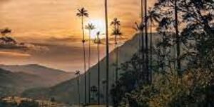 Incendios naturales, indispensables para preservar el extraordinario y bellísimo equilibrio de la naturaleza