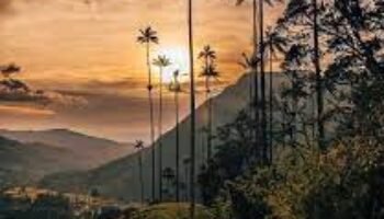 Incendios naturales, indispensables para preservar el extraordinario y bellísimo equilibrio de la naturaleza