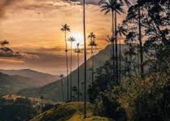 Incendios naturales, indispensables para preservar el extraordinario y bellísimo equilibrio de la naturaleza