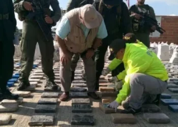 Colombia produce el 90 % de la cocaína que llega a EUA