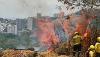 Mujer incendiaria forestal fue capturada por la comunidad