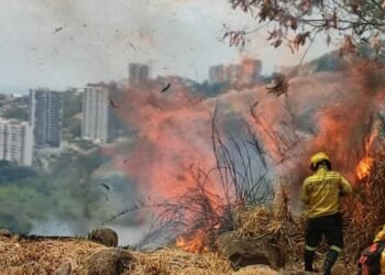 Mujer incendiaria forestal fue capturada por la comunidad