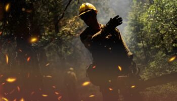 ncendios forestales: Procuraduría cuestiona adecuada prevención y atención de emergencias por parte de las autoridades, a pesar de las reiteradas advertencias