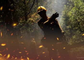 ncendios forestales: Procuraduría cuestiona adecuada prevención y atención de emergencias por parte de las autoridades, a pesar de las reiteradas advertencias