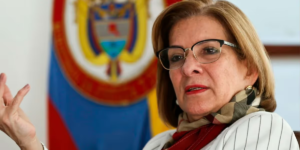 Procuradora sobre incendios forestales: “Desde octubre se los dijimos y no cumplieron”