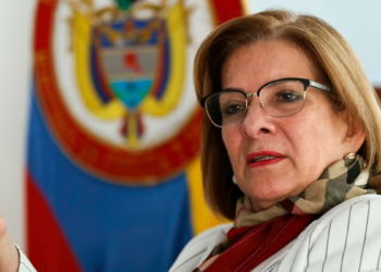 Procuradora sobre incendios forestales: “Desde octubre se los dijimos y no cumplieron”