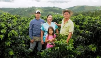 “Nos discriminaron”: 76.000 familias cafeteras de Antioquia se quedaron sin incentivos de la nación