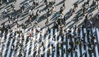 El mundo moderno ¿mata y enloquece? Los obispos enfrentan «las heridas del tiempo que vivimos»