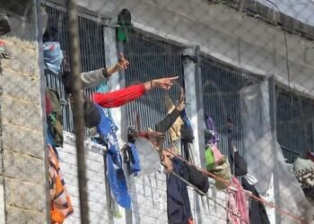 No más tolerancia con los delincuentes