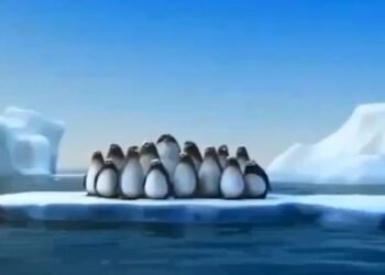 Nos unimos, o… ¡nos hundimos!