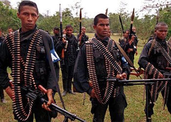 Guerrillas gobiernan Colombia…. 👾🤖💩👹