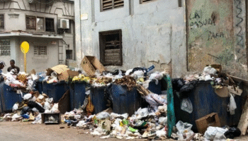 No hay basureros en La Habana: La Habana es un basurero