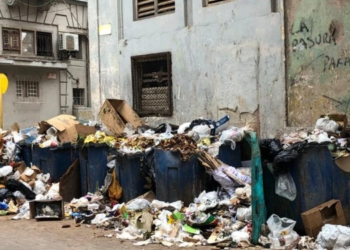 No hay basureros en La Habana: La Habana es un basurero