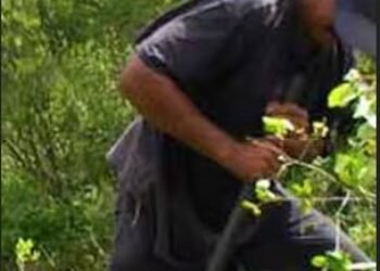 Un colapso anunciado