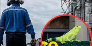 Eln estaría detrás del secuestro de cuatro contratistas de Ecopetrol; hay indignación