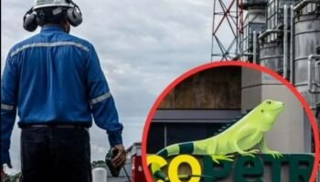 Eln estaría detrás del secuestro de cuatro contratistas de Ecopetrol; hay indignación