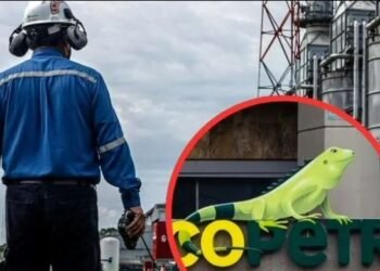 Eln estaría detrás del secuestro de cuatro contratistas de Ecopetrol; hay indignación