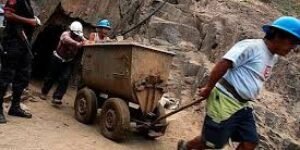 «Se extiende paro de la pequeña minería, en mas de más de 9 departamentos, por el arbitrario y repentino estrangulamiento del gobierno Petro, mientras éste intenta esconderlo del mundo que participa en la COP16»